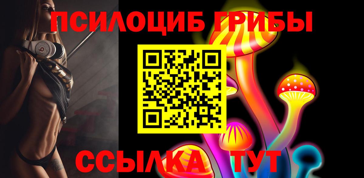 Псилоцибиновые грибы прущие грибы Шали