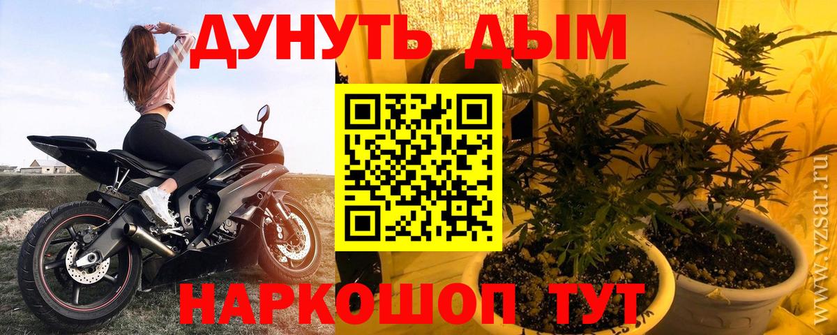 Каннабис Amnesia  Вход с VPN  Каннабис VHQ  Канабис семена  Шали 